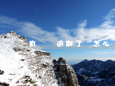 有網貸逾期了會怎么樣(網貸有逾期還能借款嗎)