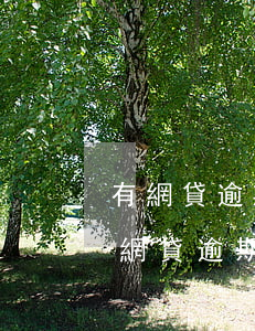 有網貸逾期可以申請信用卡嗎（濟南市信用卡網貸逾期怎么處理）