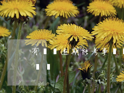有網貸逾期能考事業編嗎(有網貸可以考事業編嗎)