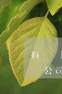 有網貸逾期能開公司么(網貸逾期不知道是哪個公司的怎么辦)
