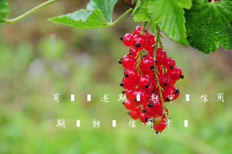 有網貸逾期還能申請信用卡嗎（如果有網貸逾期還能辦信用卡嗎）