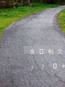 有編制欠網(wǎng)貸(有欠網(wǎng)貸的嗎)