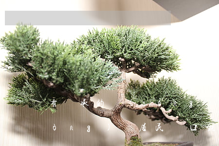 有繼承的農(nóng)村房子怎么動(dòng)遷(居民戶口能不能繼承農(nóng)村的房子)