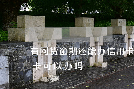 有网货逾期还能办信用卡吗(网贷有逾期信用卡可以办吗)