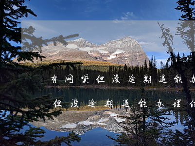 有网贷但没逾期过能办理信用卡吗-有网贷但没逾期过能办理信用卡吗知乎