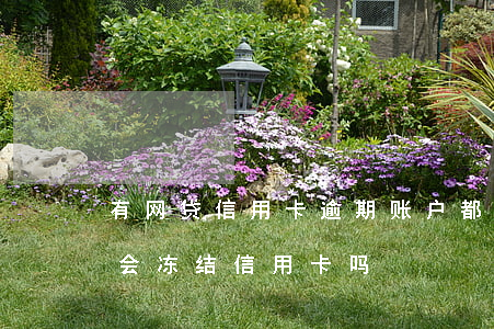 有网贷信用卡逾期账户都被冻结吗 网贷逾期会冻结信用卡吗?