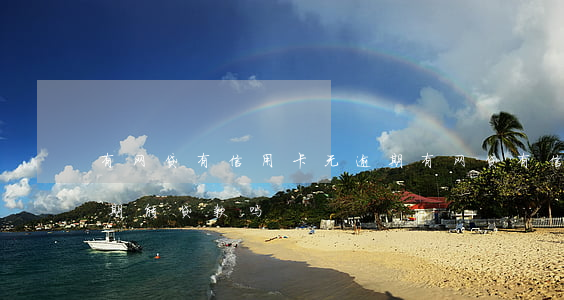 有网贷有信用卡无逾期(有网贷有信用卡无逾期能贷款吗)