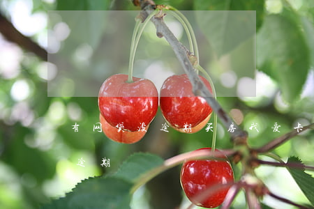 有网贷没逾期买房我爱卡(贷款买房有网贷无逾期)