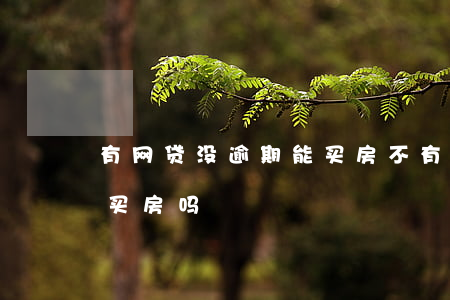 有网贷没逾期能买房不(有网贷逾期可以贷款买房吗)