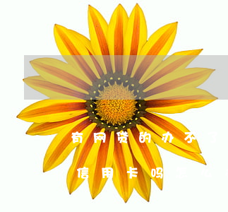 有网贷的办不了信用卡吗-有网贷的办不了信用卡吗怎么办