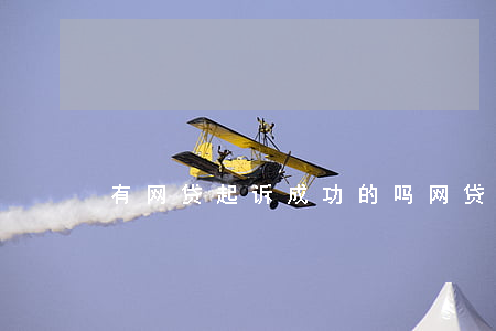 有网贷起诉成功的吗(网贷起诉会赢吗)