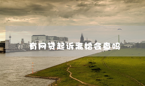 有网贷起诉离婚会查吗