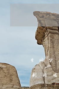有网贷逾期了还能再借吗(网贷逾期还能申请别的吗)