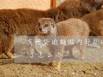 有网贷逾期做内部处理(在正规网贷公司逾期了怎么办)