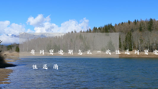 有网贷逾期怎么一次性还(网贷逾期让我一次性还清)