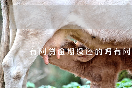 有网贷逾期没还的吗(有网贷逾期没还的吗)