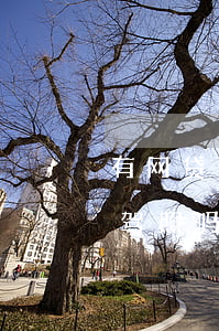有网贷逾期能不能考驾照(欠网贷逾期可以考驾照吗)