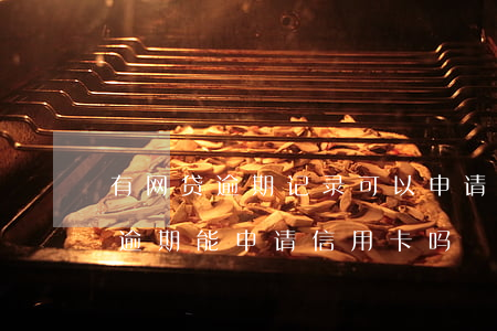 有网贷逾期记录可以申请信用卡嘛 网贷有过逾期能申请信用卡吗
