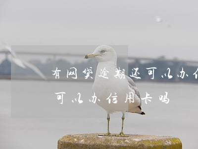 有网贷逾期还可以办信用卡吗(网贷逾期后还可以办信用卡吗?)