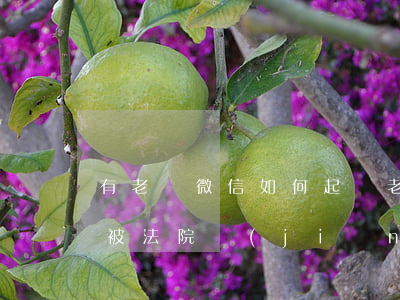 有老賴微信如何起訴(老賴微信會(huì)被法院監(jiān)控嗎)