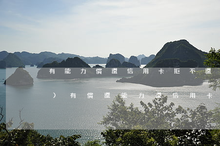 有能力償還信用卡拒不還款(如果沒(méi)有償還能力還信用卡怎么辦)