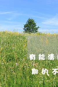 有能清除信用卡逾期記錄嗎(能消除信用卡逾期的不良記錄嗎)