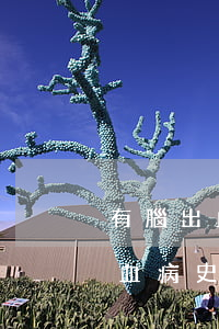 有腦出血病史的人法院可以判緩刑嗎(有腦出血病史的人法院可以判緩刑嗎)