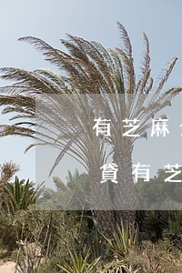 有芝麻分信用卡逾期可下的網(wǎng)貸(有芝麻信用分就能貸款的網(wǎng)貸)
