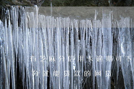 有芝麻分信用卡逾期可下的网贷(有芝麻信用分就能贷款的网贷)