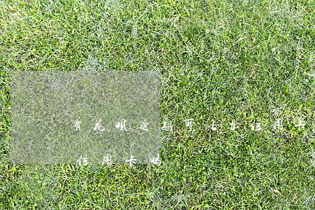 有花呗逾期可以办信用卡吗(花呗逾期还能办信用卡吗)