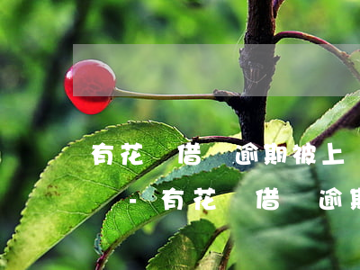 有花唄借唄逾期被上門(mén)或起訴的嗎-有花唄借唄逾期被上門(mén)或起訴的嗎是真的嗎