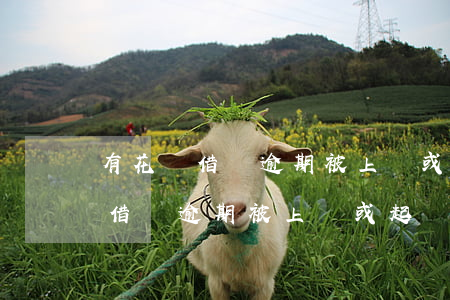 有花唄借唄逾期被上門或起訴的嗎-有花唄借唄逾期被上門或起訴的嗎是真的嗎