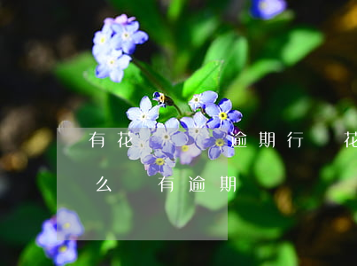 有花唄賬單逾期行為(花唄上沒有還款賬單怎么會有逾期賬單)