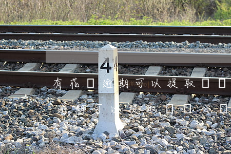 有花唄逾期可以提取離職公積金嗎-有花唄逾期可以提取離職公積金嗎