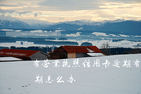 有营业执照信用卡逾期(有营业执照信用卡逾期怎么办)