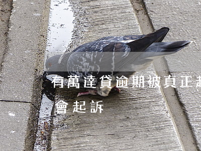 有萬達貸逾期被真正起訴的嗎-萬達貸會不會起訴