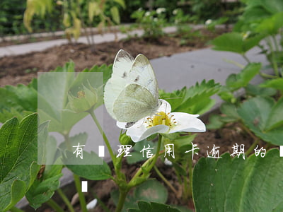 有處理信用卡逾期的嗎（信用卡有過逾期會怎樣）