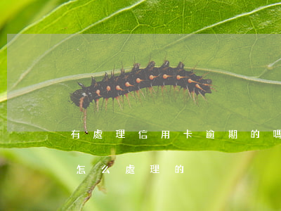有處理信用卡逾期的嗎（信用卡逾期后銀行是怎么處理的）