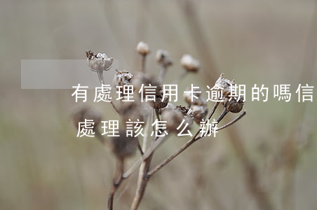 有處理信用卡逾期的嗎（信用卡逾期說要立案處理該怎么辦）