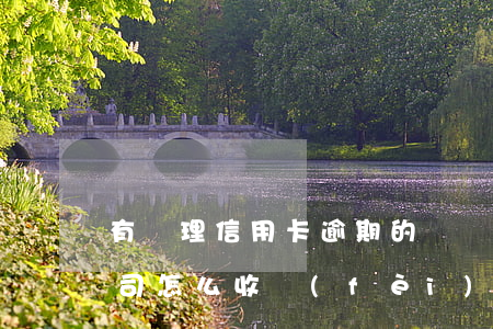 有處理信用卡逾期的嗎（處理信用卡逾期的公司怎么收費(fèi)）