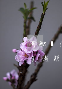 有融網(wǎng)逾期(有融網(wǎng)逾期)