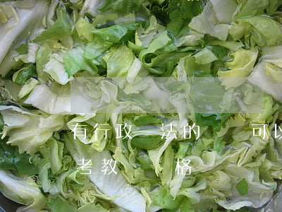 有行政違法的記錄可以考教師嗎(行政處罰能考教師資格證嗎)
