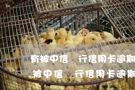有被中信銀行信用卡逾期有被起訴的嗎?-有被中信銀行信用卡逾期有被起訴的嗎