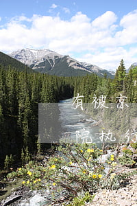 有被京东起诉过的吗(京东起诉都是在哪个法院执行)