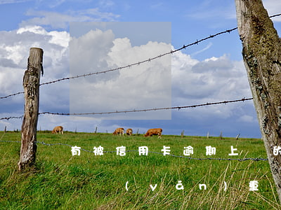 有被信用卡逾期上門的嗎(信用卡逾期有人上門嚴(yán)重嗎?該怎么辦?)