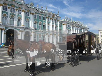 有被小贷公司起诉的吗-有没有被小贷公司起诉的