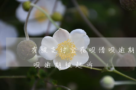 有被支付宝花呗借呗逾期起诉的吗?（借呗加花呗逾期被起诉）