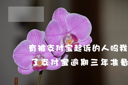 有被支付宝起诉的人吗我逾期了1年3个月了（支付宝逾期三年准备起诉）