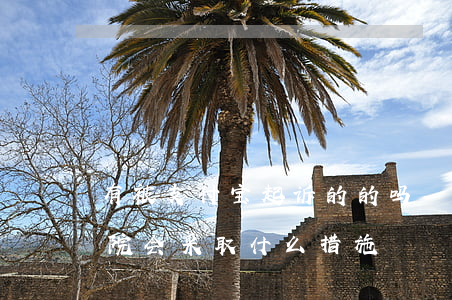 有被支付宝起诉的的吗-被支付宝起诉后法院会采取什么措施
