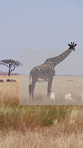 有被支付寶外起訴的嗎(有被支付寶訴訟過(guò)的嗎)